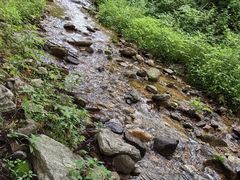 -参仙谷生态旅游度假区