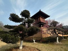 -习家池