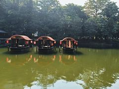 -侨美·唐荔园·40年地道粤菜