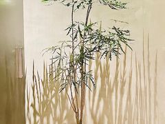 -二酉书店TOYOU BOOKS