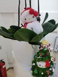 -JUVA欧华医美连锁