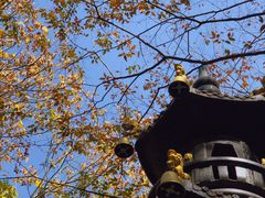 -穹窿山景区