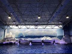 -秦皇岛乐岛海洋王国