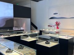 -BLACKSWAN黑天鹅(环球店)