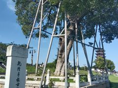 -观潮胜地公园