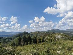 -长虫山生态公园风景林