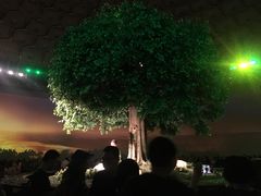 -灵山吉祥颂