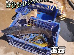 -姥家大锅台水库渔家