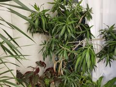-瑶舍头疗·瑶浴·芳香热石SPA(五洲国际店)
