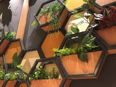 -大同江朝鲜菜•长春地标美食(绿园吾悦广场店)