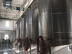 -丹世红酒庄·烧烤·团建·婚礼·水上运动