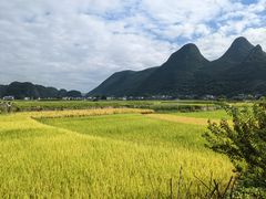 -万峰林风景区