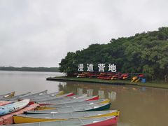 -上海海湾国家森林公园