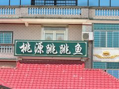 -桃源跳跳鱼