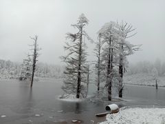 -瓦屋山景区