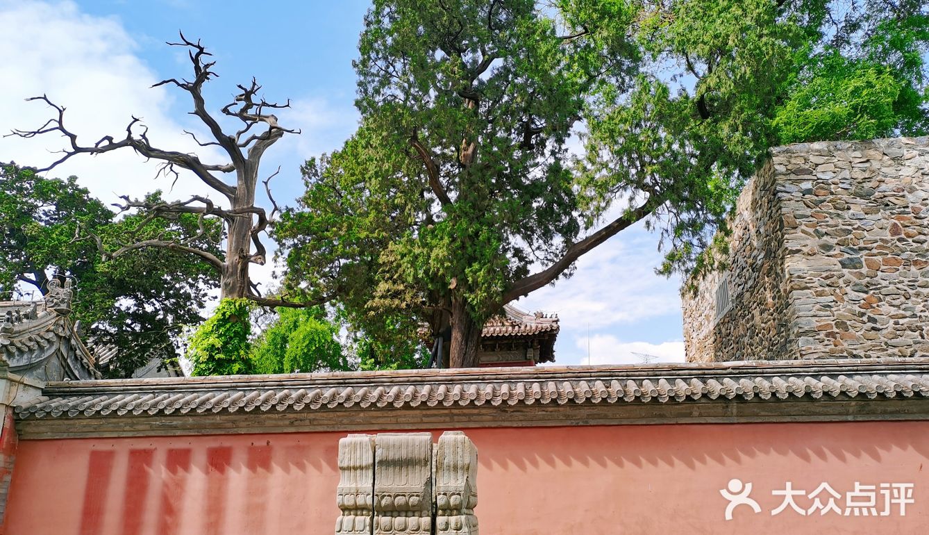 来北京燕京八绝博物馆打卡啦！