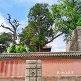 来北京燕京八绝博物馆打卡啦！