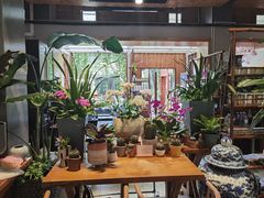 -谷咖啡·鲜花绿植花园餐厅