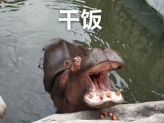 -灵玲国际马戏城