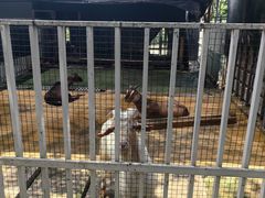 -洪湖家庭农场·团建·露营·会议