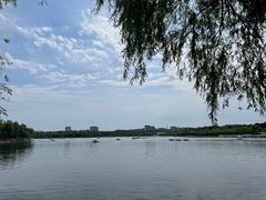 -长春市南湖公园