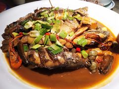 野生杂鱼-東大方(海宁海昌路店)