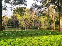 -上海鲜花港