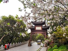 -黄鹤楼公园(黄鹤楼)