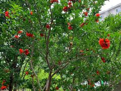 小区环境-世纪星城