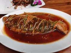 -少林寺欢喜地素斋馆