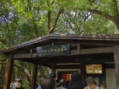 -马王堆汉墓遗址
