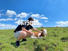 -芦芽山旅游度假区