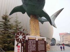 -烟台海昌鲸鲨海洋公园