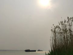 -扬子江公园