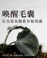 -MONE美发沙龙