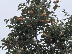-盛世南宫影视城(北普陀影视城)