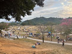 -风云岭森林公园