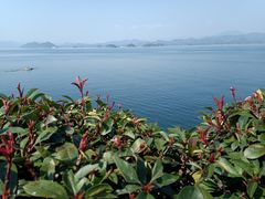 -绿城千岛湖喜来登度假酒店