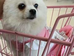 -怪兽屋·羊驼·猫咖·狗咖(俊华广场店)