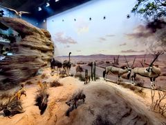 -天津自然博物馆