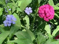 -大兴滨河森林公园