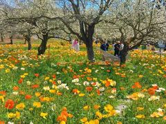 -名花谷生态庄园