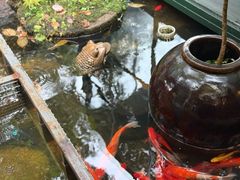 -野蔓果·山野菜(西湖景区·龙井茶田店)