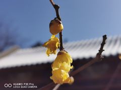 -月坛公园