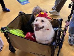 -东浩兰生上海世博展览馆