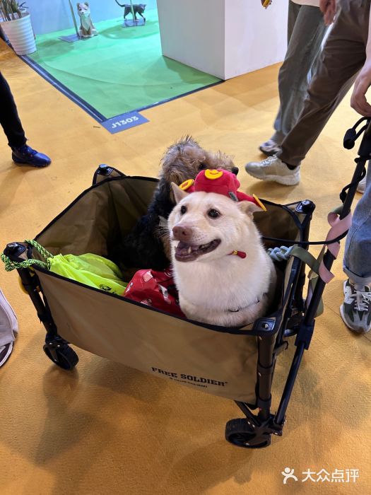 东浩兰生上海世博展览馆图片