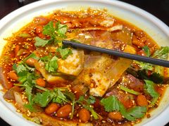 -陈麻婆豆腐总店