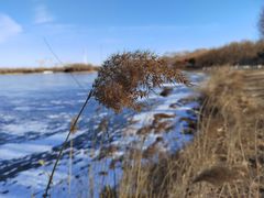 -大兴滨河森林公园