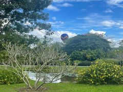 -中国科学院西双版纳热带植物园