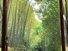 -同里国家湿地公园
